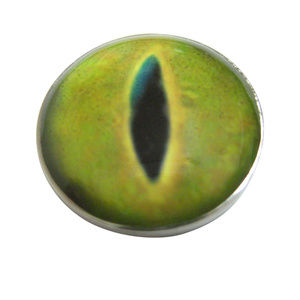 Green Reptile Eye Design Magnet